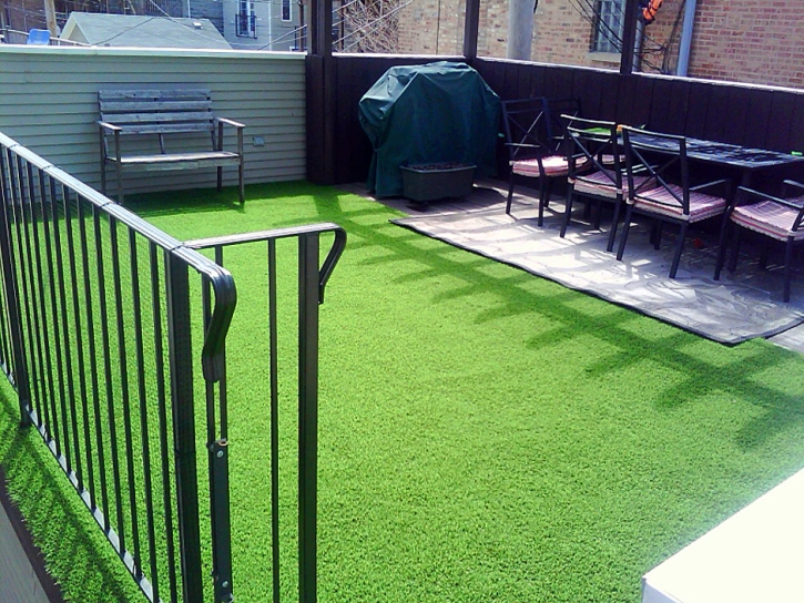 Best Artificial Grass Dos Palos Y, California Dog Running, Backyard Makeover