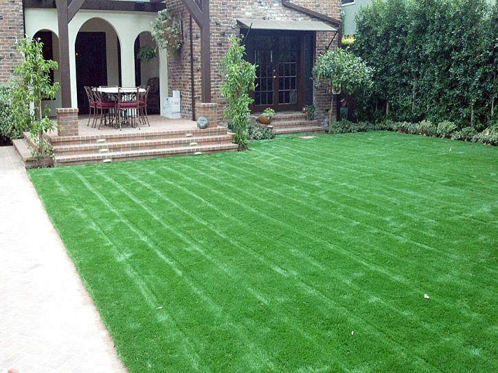 Best Artificial Grass Dos Palos, California Lawn And Landscape, Front Yard Landscaping