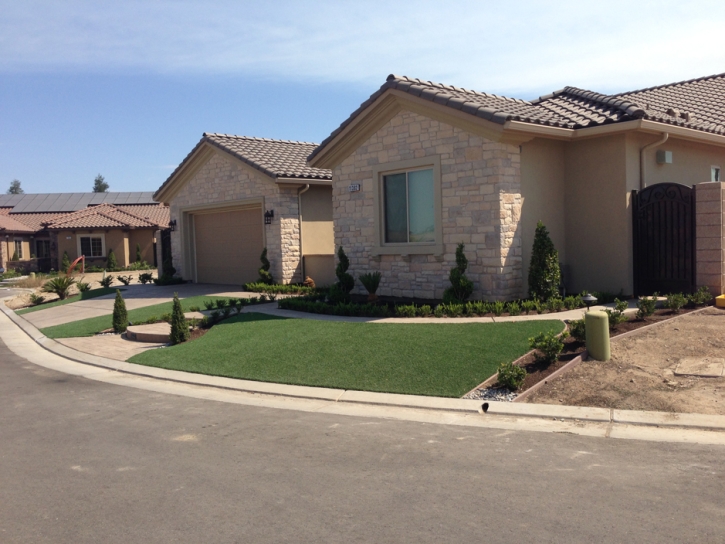 Best Artificial Grass El Nido, California Home And Garden, Landscaping Ideas For Front Yard