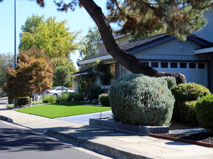 Best Artificial Grass Los Banos, California Backyard Deck Ideas, Front Yard Landscape Ideas