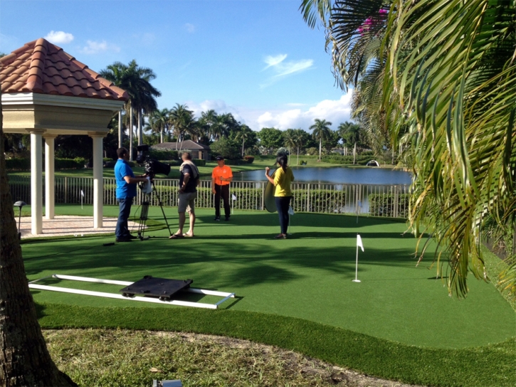 Best Artificial Grass Snelling, California Putting Green Carpet, Backyard Landscaping Ideas