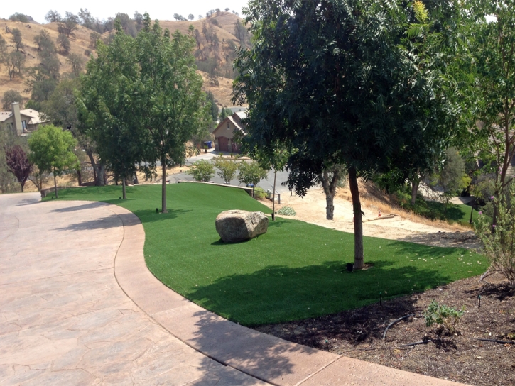 Best Artificial Grass Stevinson, California Landscape Photos, Front Yard Landscaping Ideas