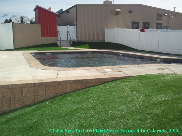 Best Artificial Grass Volta, California Backyard Playground, Above Ground Swimming Pool