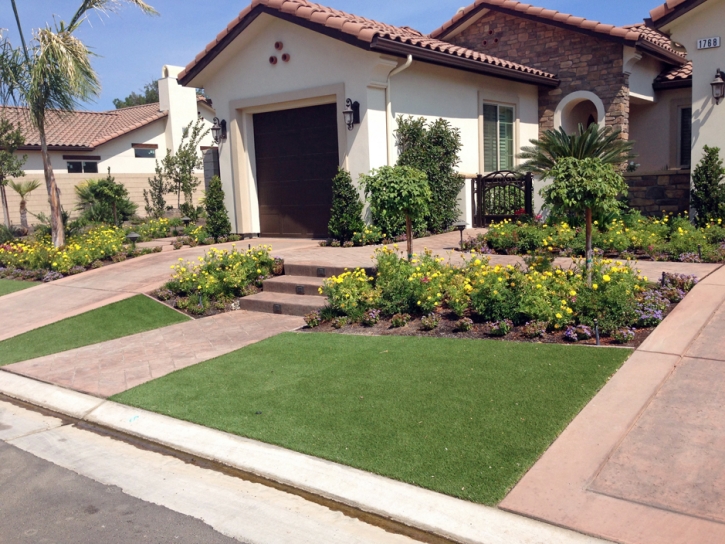 Best Artificial Grass Volta, California Landscape Design, Front Yard Design