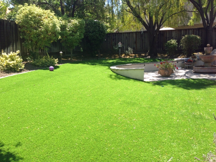 Best Artificial Grass Volta, California Design Ideas, Backyard Makeover