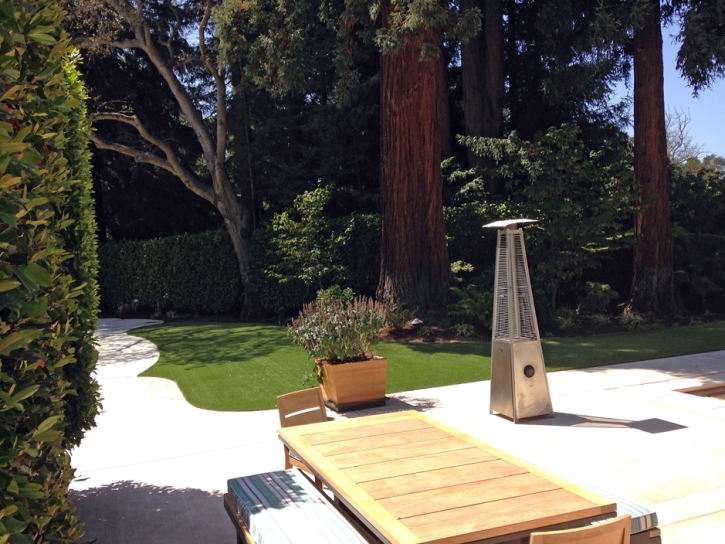 Fake Grass Atwater, California Landscape Ideas, Backyard Landscaping Ideas