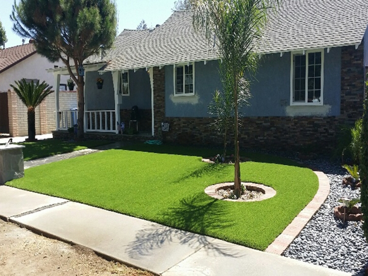 Fake Grass Bear Creek, California Gardeners, Front Yard Ideas