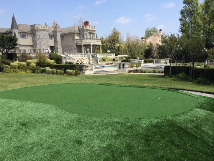 Fake Grass Carpet Ballico, California Gardeners, Front Yard