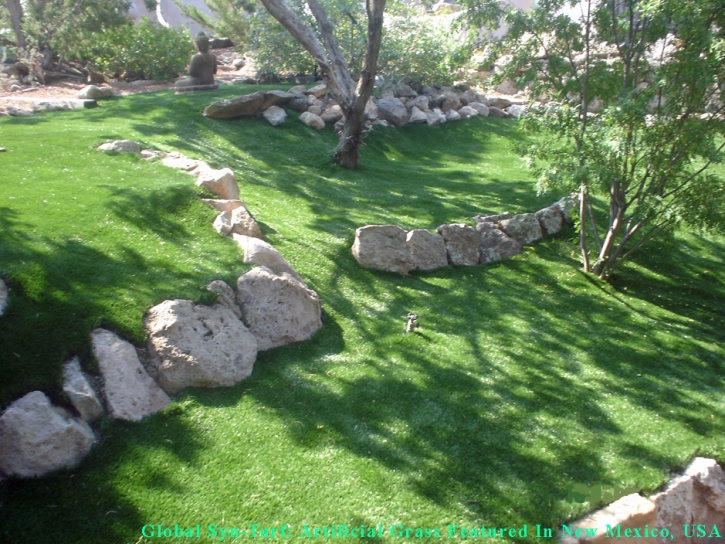 Fake Grass Carpet Cressey, California Backyard Playground, Commercial Landscape