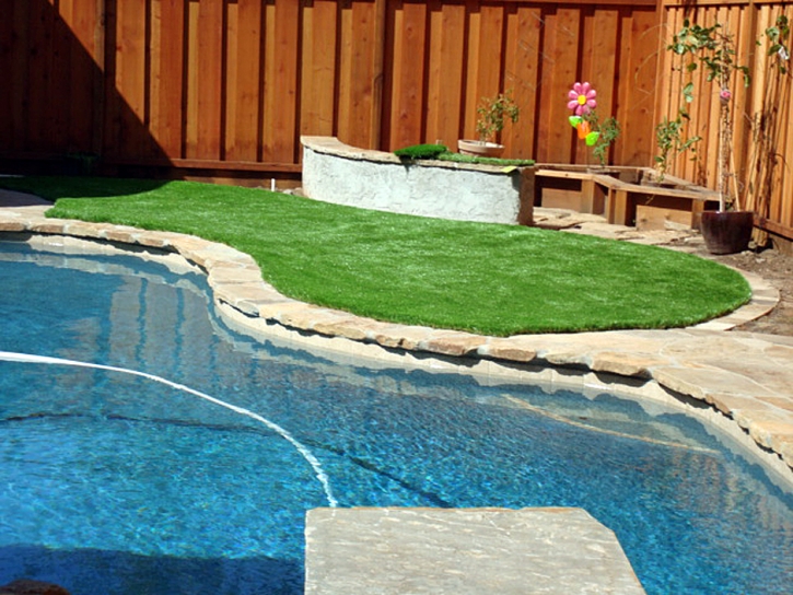 Fake Grass Carpet Gustine, California Design Ideas, Backyard Makeover