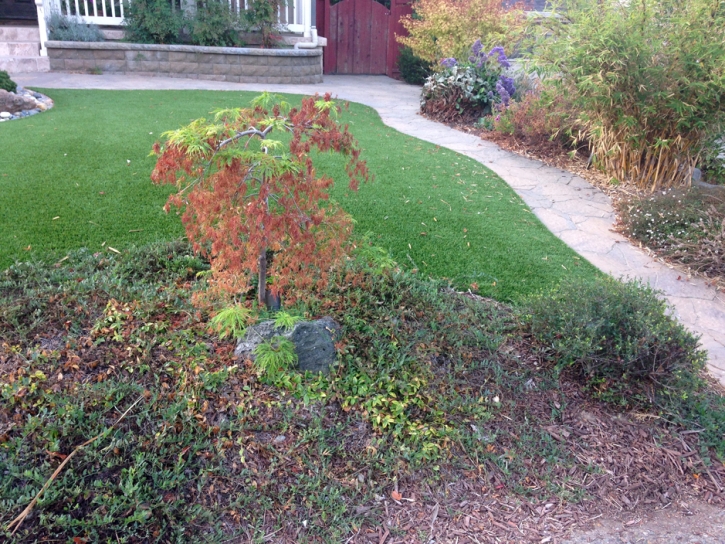 Fake Grass Carpet Los Banos, California Rooftop, Front Yard Landscape Ideas