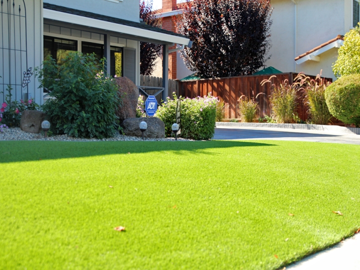 Fake Grass Carpet Snelling, California Design Ideas, Front Yard Landscaping