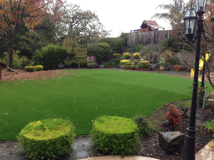 Fake Grass Carpet Stevinson, California Landscaping Business, Backyard Garden Ideas