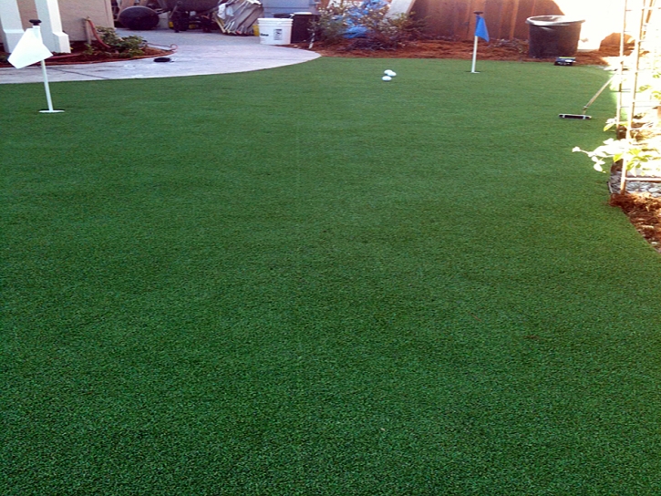 Fake Grass Carpet Stevinson, California Artificial Putting Greens, Backyard Landscape Ideas