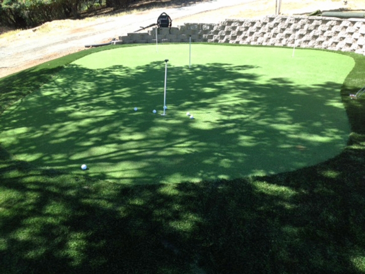 Fake Grass Carpet Winton, California Putting Green, Backyard Makeover