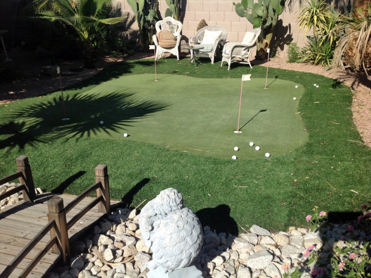 Fake Grass Carpet Winton, California Landscape Ideas, Backyard Makeover