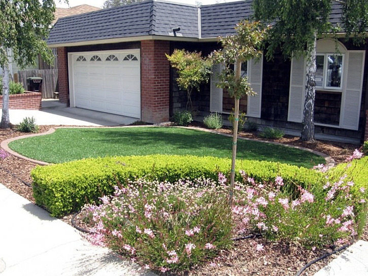 Fake Grass Delhi, California Home And Garden, Front Yard Landscape Ideas