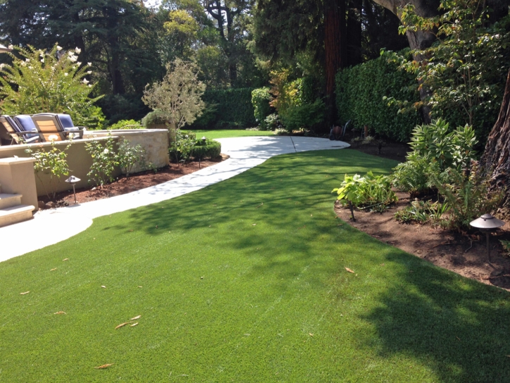 Fake Grass Delhi, California Landscape Design, Backyards