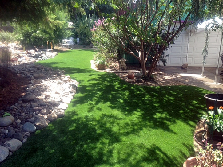 Fake Grass Delhi, California Lawn And Landscape, Backyard Landscape Ideas