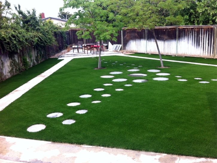 Fake Grass Dos Palos, California Home And Garden, Backyard Landscape Ideas