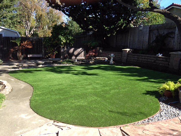 Fake Grass Dos Palos, California Landscape Ideas, Beautiful Backyards