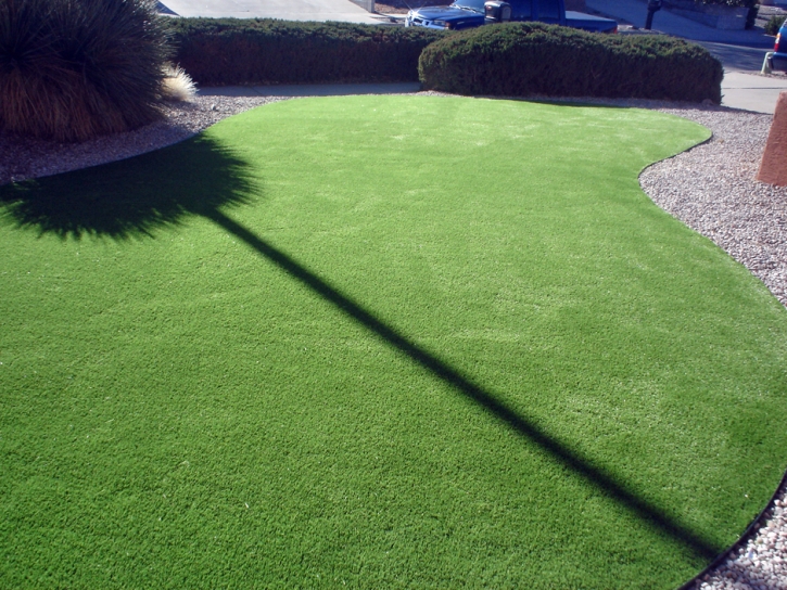 Fake Grass Dos Palos Y, California Landscape Design, Front Yard Landscaping Ideas