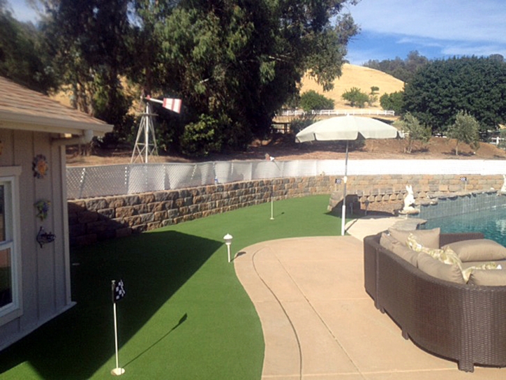 Fake Grass Gustine, California Lawn And Landscape, Backyard Designs