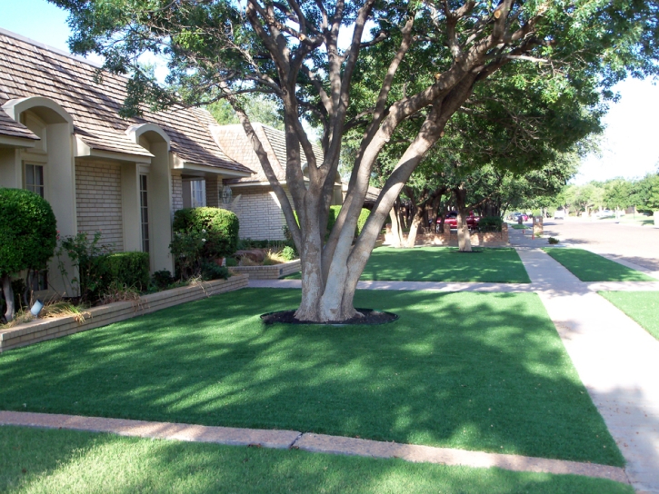 Fake Grass Livingston, California Home And Garden, Landscaping Ideas For Front Yard