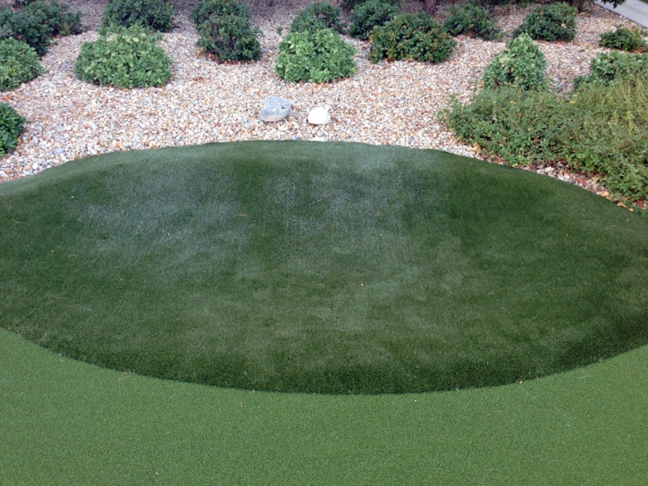 Fake Grass Snelling, California Backyard Playground