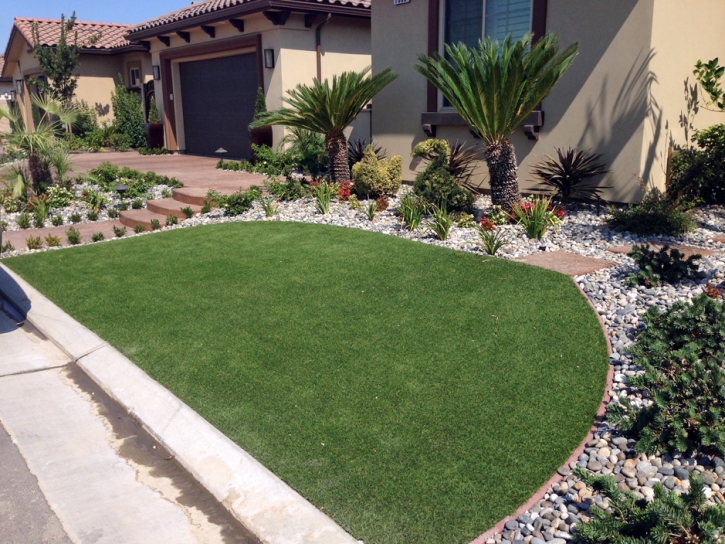 Fake Grass Snelling, California Landscape Ideas, Small Front Yard Landscaping