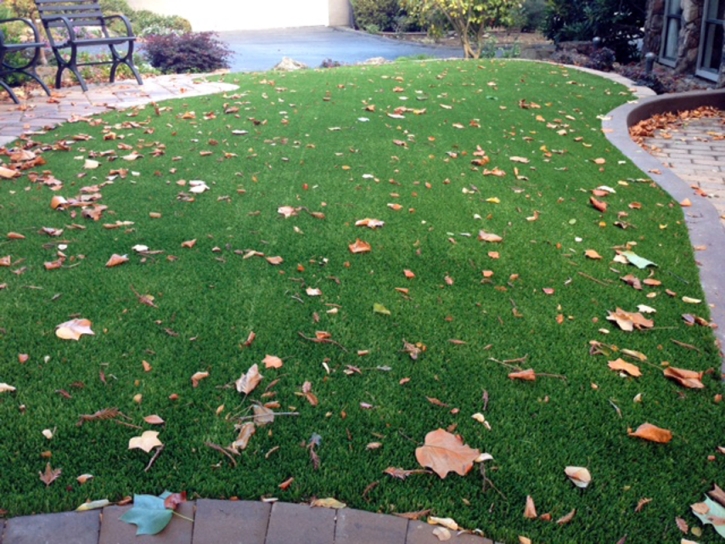 Fake Lawn Ballico, California Landscaping, Front Yard Landscaping Ideas