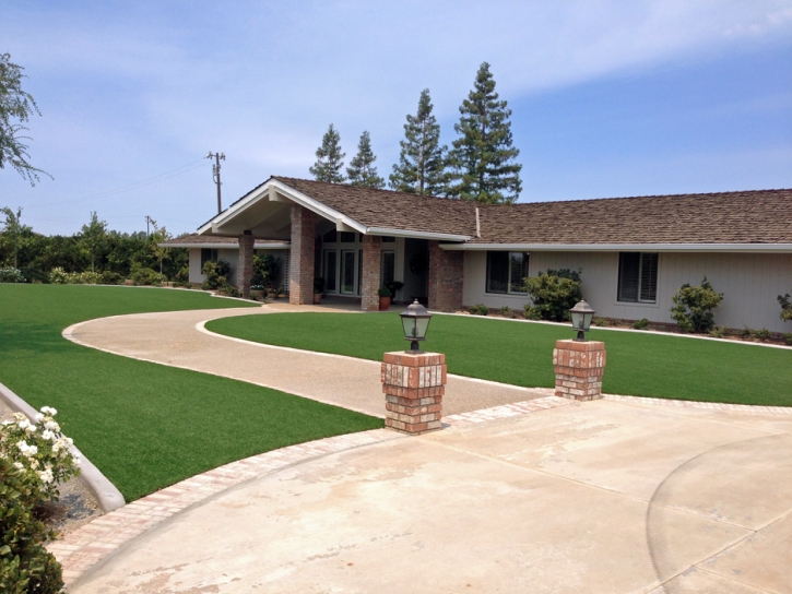 Fake Lawn Dos Palos Y, California Lawns, Front Yard Design