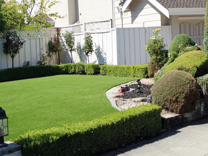 Fake Lawn Gustine, California Garden Ideas, Front Yard Design