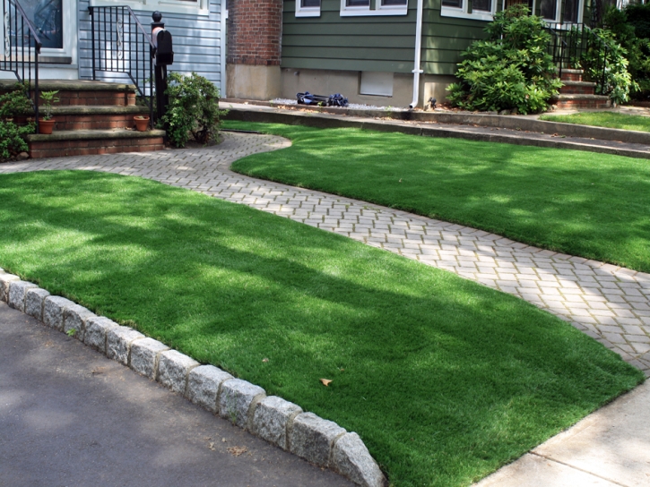 Fake Lawn Le Grand, California Paver Patio, Front Yard Ideas