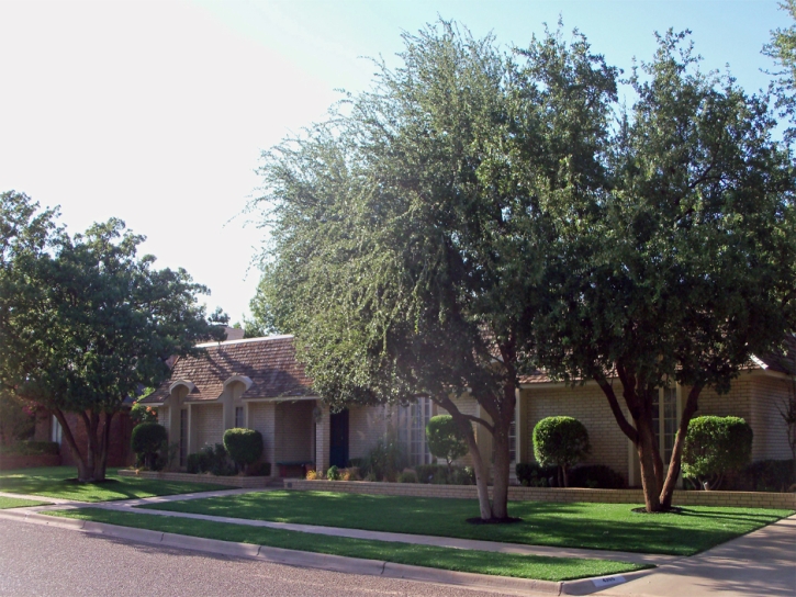 Fake Lawn Merced, California Garden Ideas, Front Yard Ideas