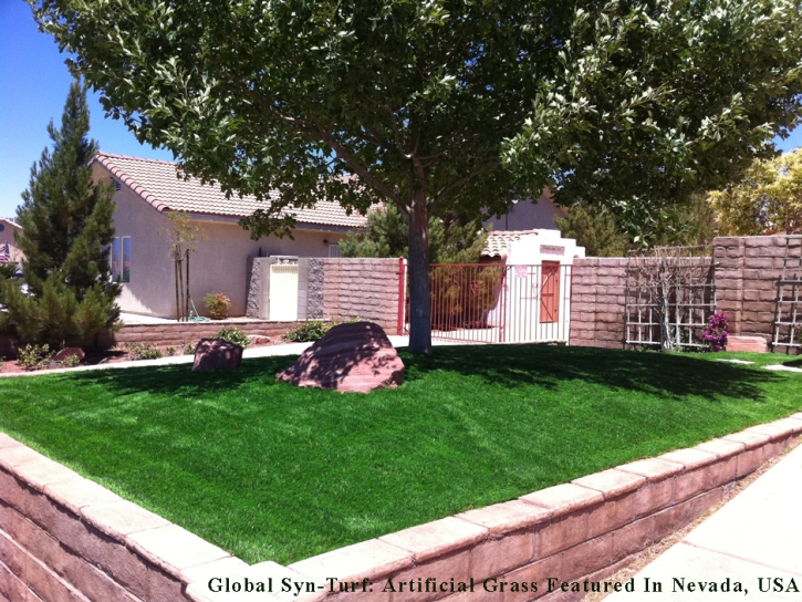 Fake Lawn Stevinson, California Landscaping, Front Yard Design