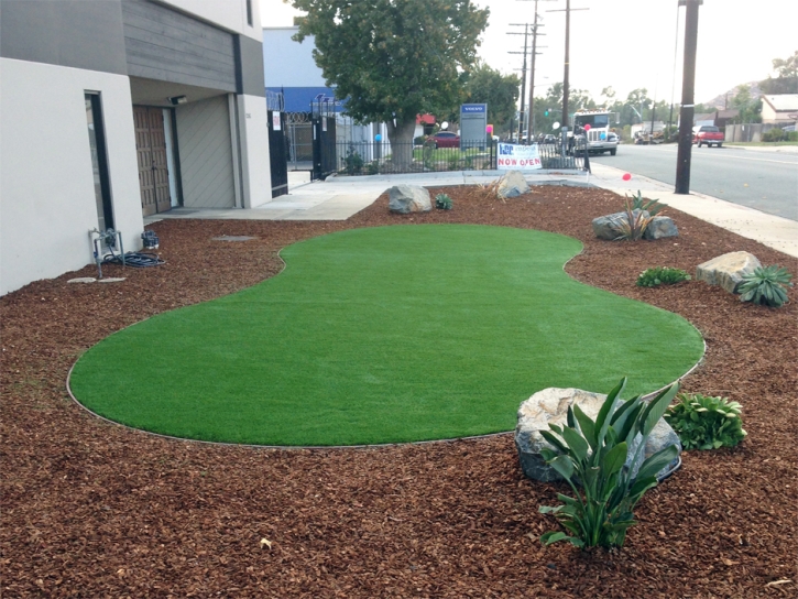 Fake Turf Ballico, California Home And Garden, Commercial Landscape