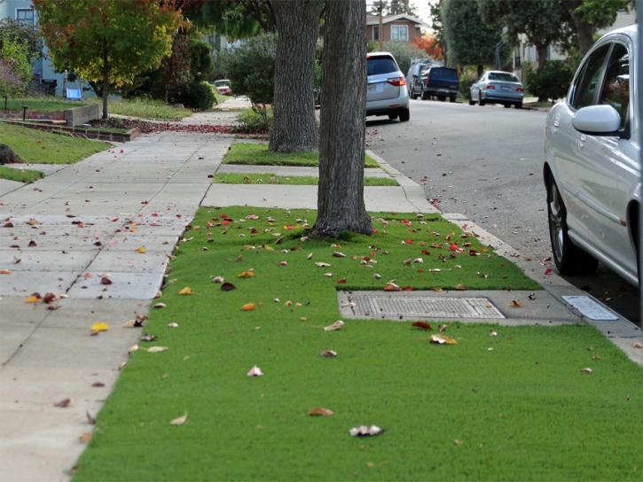 Fake Turf Ballico, California Landscaping Business, Front Yard Landscaping