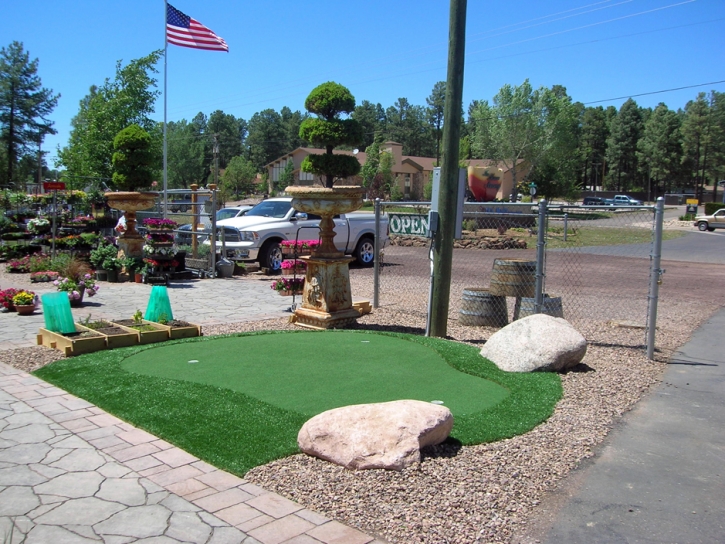 Fake Turf Bear Creek, California Outdoor Putting Green, Commercial Landscape