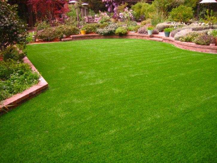 Fake Turf Cressey, California Gardeners, Backyard Landscaping Ideas