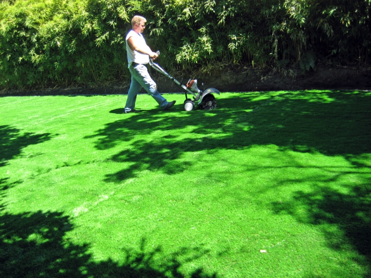 Fake Turf Delhi, California Lawn And Garden, Beautiful Backyards