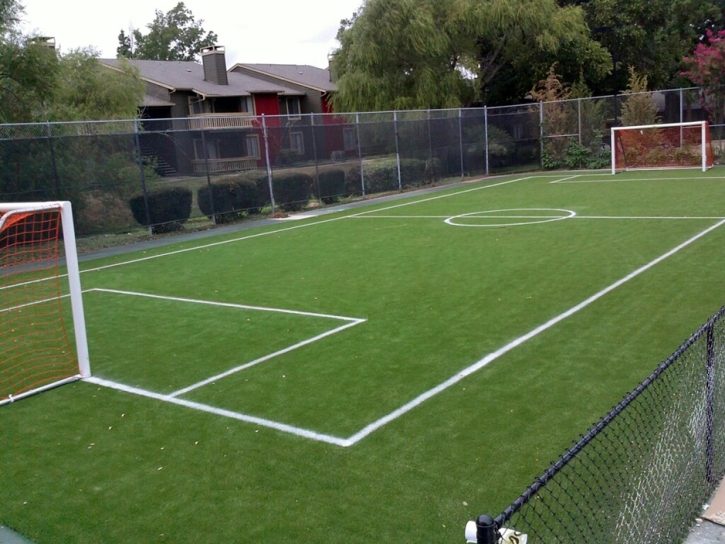 Fake Turf El Nido, California Sports Turf, Commercial Landscape