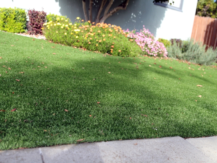 Fake Turf Hilmar-Irwin, California Paver Patio, Front Yard