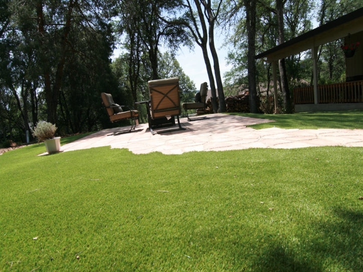 Fake Turf Livingston, California Landscaping, Backyard Landscape Ideas