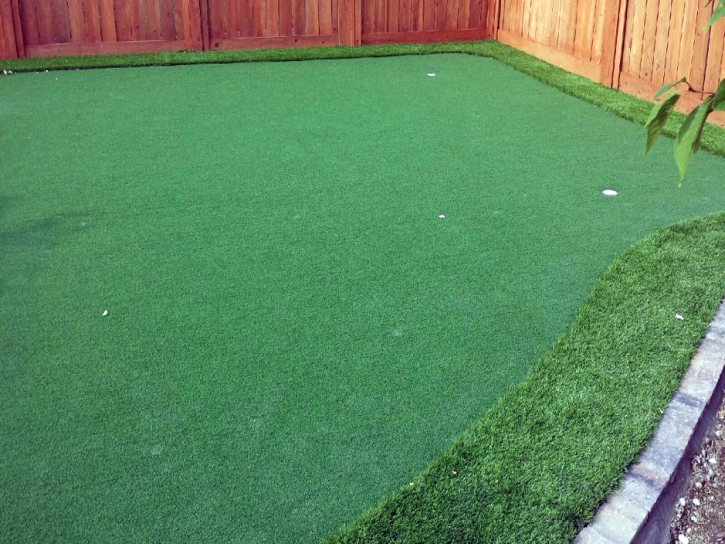 Fake Turf Los Banos, California Lawn And Landscape, Backyards