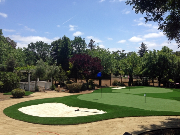 Fake Turf Volta, California Putting Greens, Front Yard