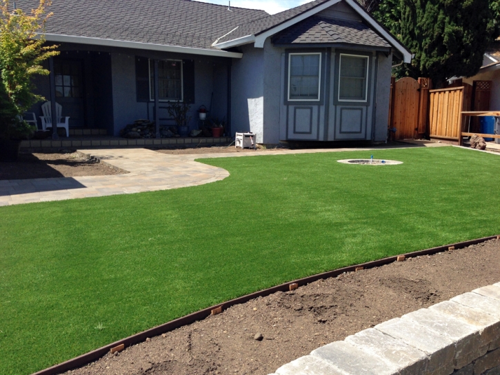 Faux Grass Ballico, California Home And Garden, Front Yard Landscaping