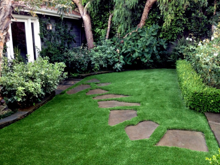 Faux Grass Bear Creek, California Landscaping, Small Backyard Ideas