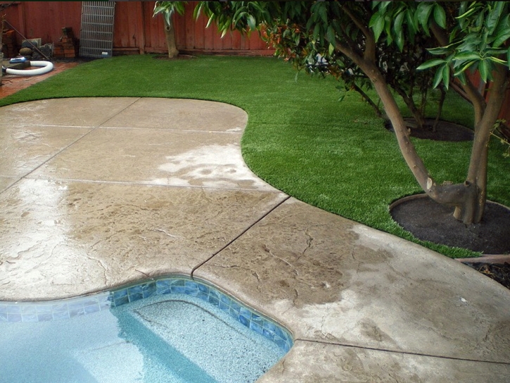 Faux Grass El Nido, California Lawn And Landscape, Backyard Pool