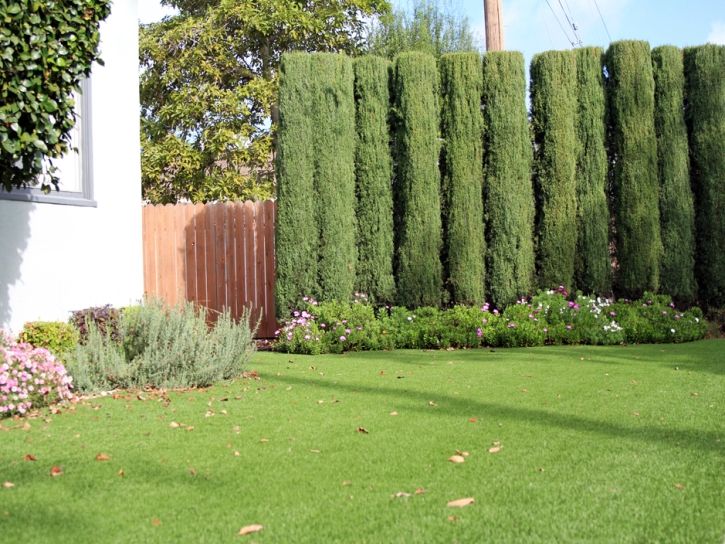 Faux Grass Gustine, California Garden Ideas, Landscaping Ideas For Front Yard